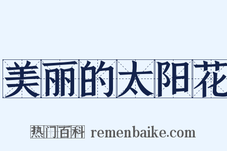 美丽的太阳花是什么意思的图片